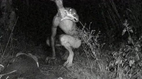 Fulao2线路检测人口：传闻某地出现神秘生物，居民纷纷前往探险引发热议！