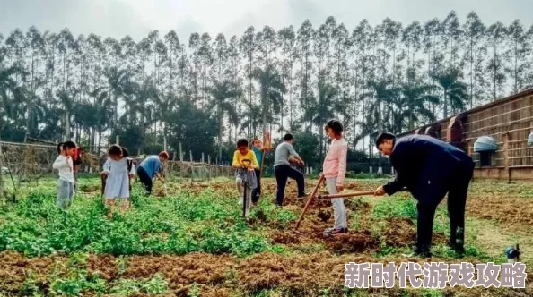 两人拨萝卜：探讨传统农耕文化在现代社会中的传承与发展及其对农村经济的影响
