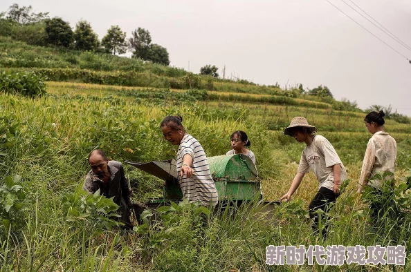两人拨萝卜：探讨传统农耕文化在现代社会中的传承与发展及其对农村经济的影响