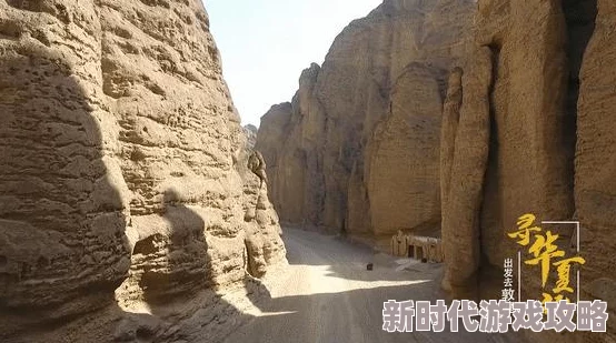 《情侣求生欲》游戏挑战：第二十二关关卡详细攻略与通关技巧解析
