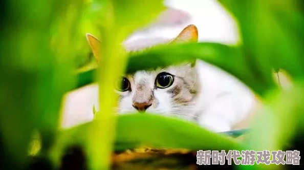 美女被吸乳得到大胸，研究显示哺乳期对女性胸部发育的积极影响引起广泛关注与讨论