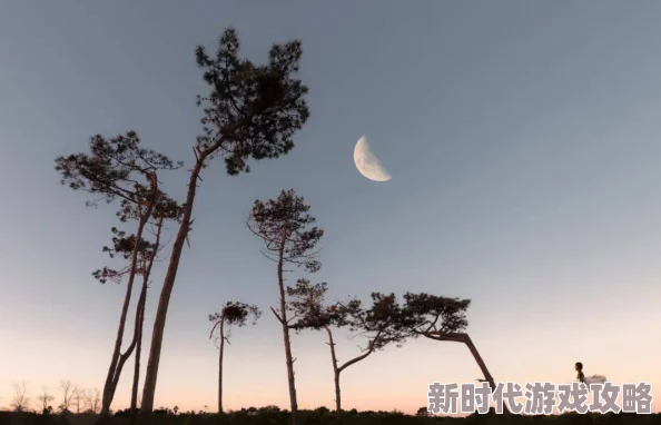网友对于《曹查理三级七日情》的看法