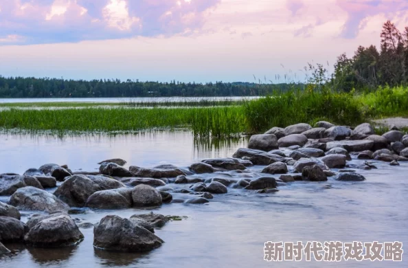 办公室可不可以干湿你小狗狗？新动态：宠物友好政策引发热议，员工反响两极分化！