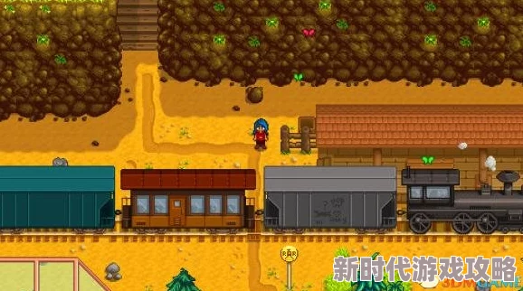 神秘的星露谷物语：探索12点时分那个隐秘而茂盛的草丛