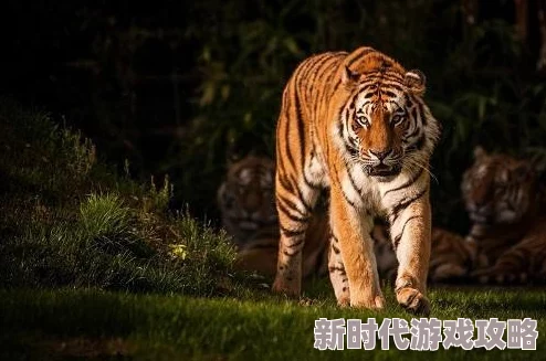 男男生子产乳高h，真是让人感到震惊，这样的设定太超现实了！