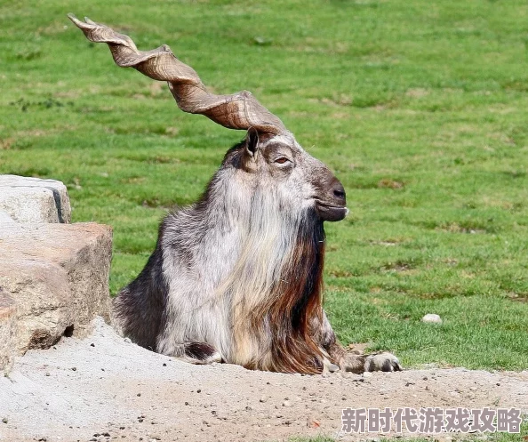精彩纷呈的时之歌手游异兽来袭玩法全解，详尽攻略助你轻松应对