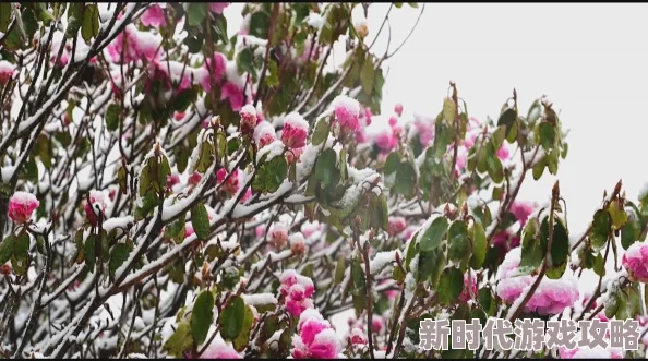 毛茸茸无尽画廊，真是一个充满创意和温暖的地方，让人流连忘返！