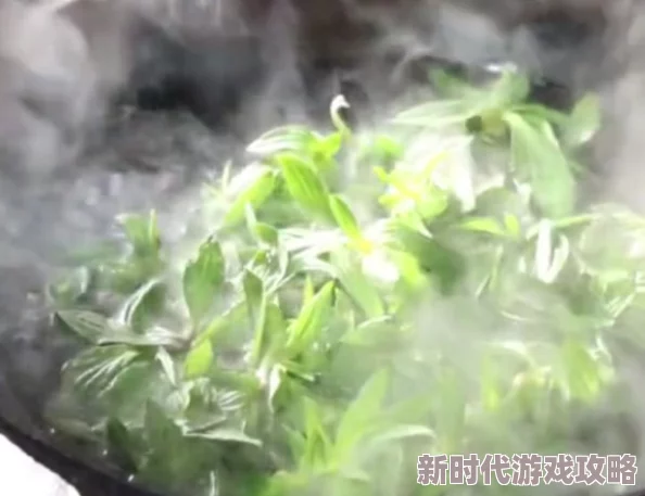 野草视频在线观看免费播放网友认为该平台提供的内容丰富多样，观看体验流畅，但也有用户反映广告较多影响观感