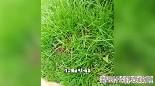 野草视频在线观看免费播放网友认为该平台提供的内容丰富多样，观看体验流畅，但也有用户反映广告较多影响观感
