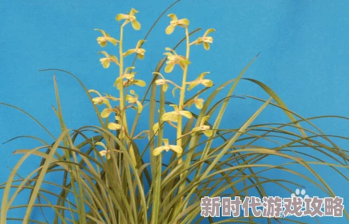 野草视频在线观看免费播放网友认为该平台提供的内容丰富多样，观看体验流畅，但也有用户反映广告较多影响观感