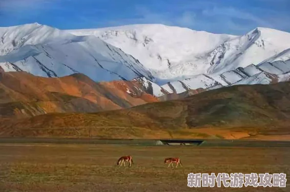 精品亚洲无人区一区二区，真是一个让人向往的地方，充满了神秘与美丽