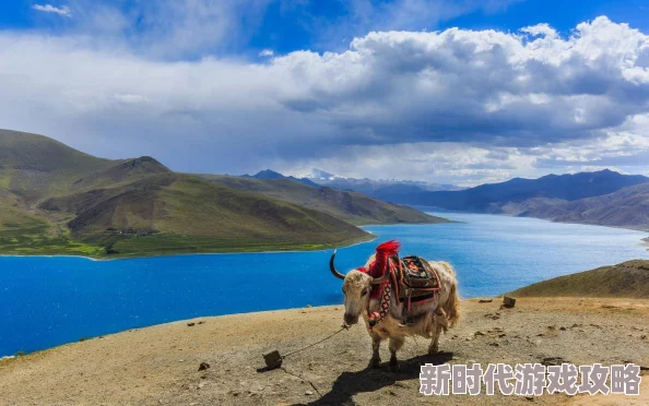 精品亚洲无人区一区二区，真是一个让人向往的地方，充满了神秘与美丽