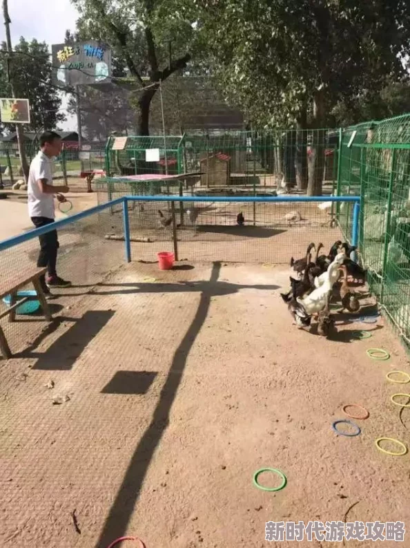 好吊操老鸭窝，真是个有趣的地方，吸引了不少游客前来体验！