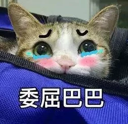 嗯啊舒服用力，这种感觉真是太棒了，让人忍不住想要更多！