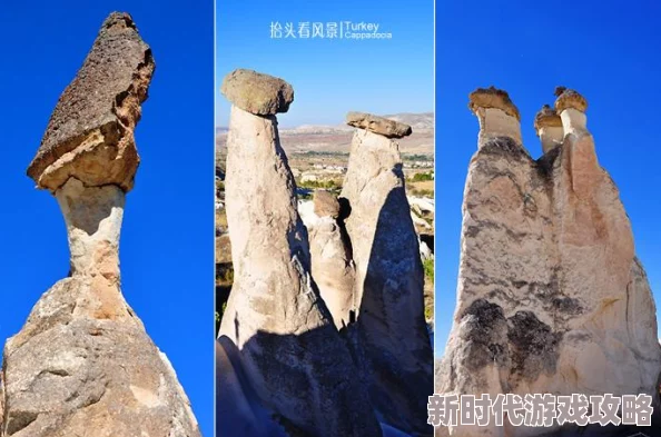 文明重启蘑菇探寻攻略:揭秘神秘蘑菇生长秘境与高效寻找之旅,网友热议必备指南 文明重启蘑菇探寻攻略:揭秘神秘蘑菇生长秘境与高效寻找之旅,网友热议必备指南