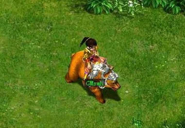 问道游戏坐骑技能全解析，网友热评：必备坐骑技能大全介绍及点评