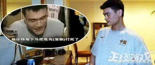 魔兽争霸中刺客角色属性选择指南:网友热议最优选项揭晓 魔兽争霸中刺客角色属性选择指南:网友热议最优选项揭晓