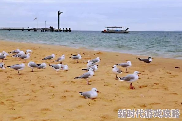 露玛岛危险级别全面解析及高危区域深度介绍:网友真实评价汇总 露玛岛危险级别全面解析及高危区域深度介绍:网友真实评价汇总