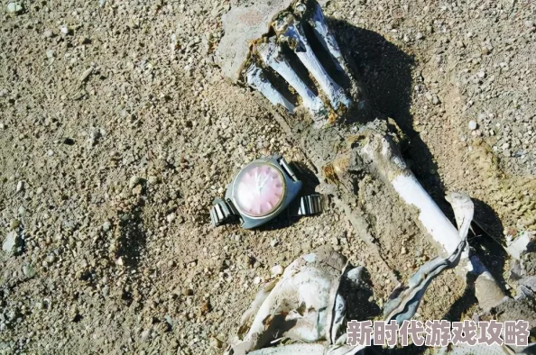 辐射4玩家热议:选择哪个性别角色更佳?网友评价各异,你站哪边? 辐射4玩家热议:选择哪个性别角色更佳?网友评价各异,你站哪边?