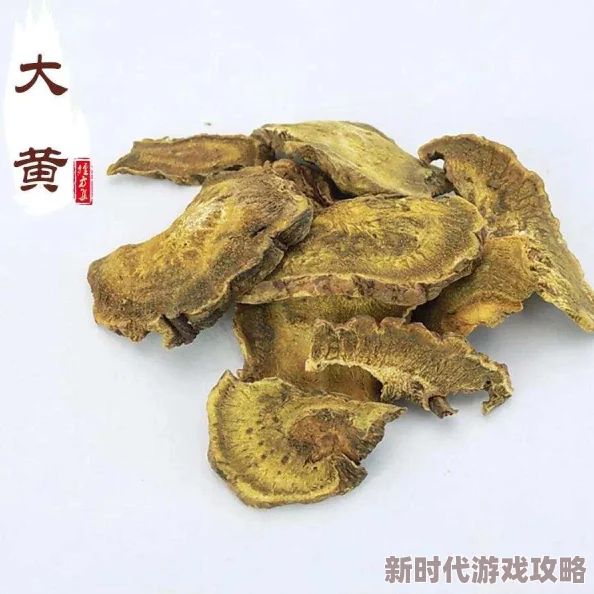 看特级大黄一片决胜21点21 看特级大黄一片决胜21点21