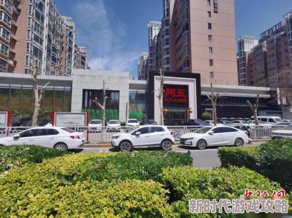 网友热议:这城有良田最佳五人组阵容推荐,顶尖搭配详解获高赞! 网友热议:这城有良田最佳五人组阵容推荐,顶尖搭配详解获高赞!