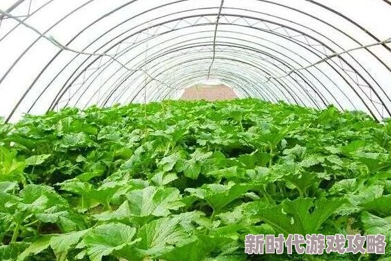 女人被两根茎同时进去图片这张图展示了自然界中植物生长的奇特现象 女人被两根茎同时进去图片这张图展示了自然界中植物生长的奇特现象