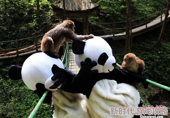 寻道大千：新手必看！选猴子还是熊猫？网友热议初始角色选择攻略