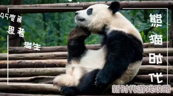 寻道大千：新手必看！选猴子还是熊猫？网友热议初始角色选择攻略