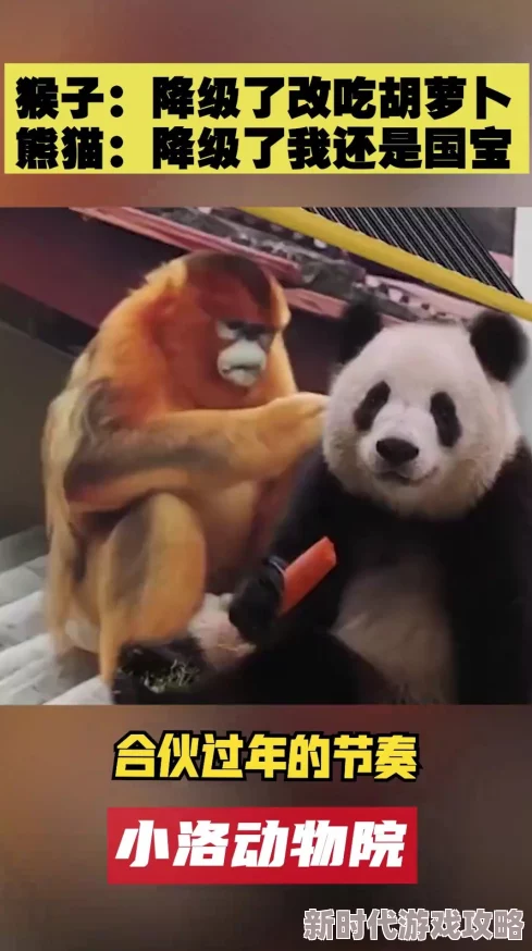 寻道大千：新手必看！选猴子还是熊猫？网友热议初始角色选择攻略