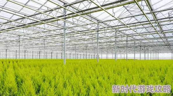 网友热议：植物大战僵尸1手游购买及获取10个植物卡槽的实用方法揭秘