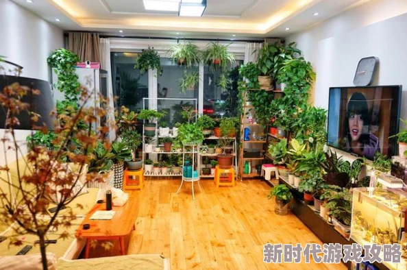 网友热议：植物大战僵尸1手游购买及获取10个植物卡槽的实用方法揭秘