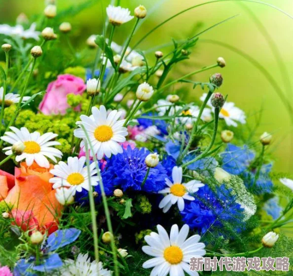 chinese东北女人舒服指的是东北地区女性性格豪爽、热情好客,给人一种非常舒适的感觉 chinese东北女人舒服指的是东北地区女性性格豪爽、热情好客,给人一种非常舒适的感觉