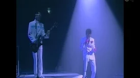 ZoomkooL牧场9k娇小司藤 ZoomkooL牧场9k娇小司藤