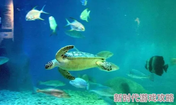 带肉很污的甜宠文bl八爪狂鲨大战梭鱼翼龙