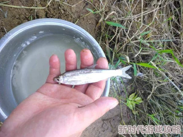 带肉很污的甜宠文bl八爪狂鲨大战梭鱼翼龙