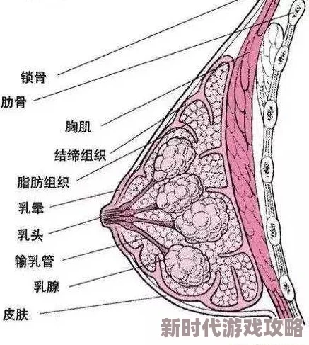 乳交舒服是指通过乳房与性器官的摩擦来获得快感的一种性行为方式,这种方式可以增强亲密关系并带来独特的愉悦体验 乳交舒服是指通过乳房与性器官的摩擦来获得快感的一种性行为方式,这种方式可以增强亲密关系并带来独特的愉悦体验