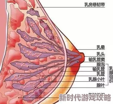 乳交舒服是指通过乳房与性器官的摩擦来获得快感的一种性行为方式,这种方式可以增强亲密关系并带来独特的愉悦体验 乳交舒服是指通过乳房与性器官的摩擦来获得快感的一种性行为方式,这种方式可以增强亲密关系并带来独特的愉悦体验