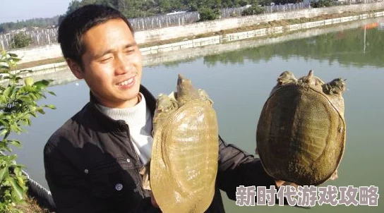 porno19老师hd水蛭 porno19老师hd水蛭