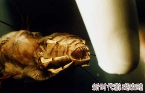 porno19老师hd水蛭 porno19老师hd水蛭