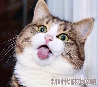 好大好爽快点好舒服小区里来了只可爱的小猫咪,每天都和居民们玩耍互动,成了大家的新宠 好大好爽快点好舒服小区里来了只可爱的小猫咪,每天都和居民们玩耍互动,成了大家的新宠