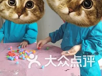 日本不卡免费新一二三区渐强 日本不卡免费新一二三区渐强