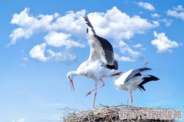 我是一只鹳 愿你生活美满幸福快乐如意吉祥安康 我是一只鹳 愿你生活美满幸福快乐如意吉祥安康