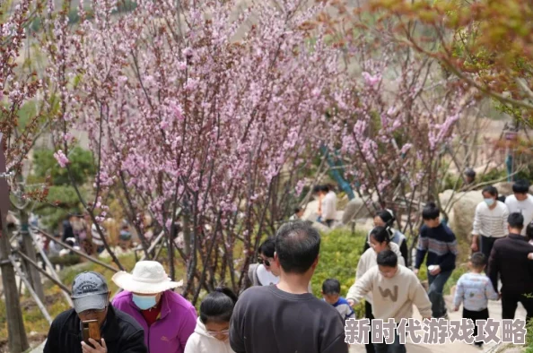 好湿热花径春风吹又生游人如织赏花正当时