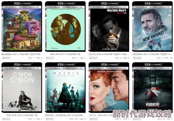 日本高清视频www夜色资源网近期上线了全新4K画质影片库