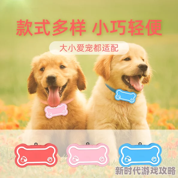 宠物保姆满天星提供专业的宠物照护服务，确保您的爱宠健康快乐