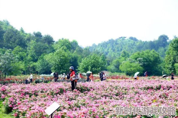 四美寻春花朝节赏花踏青游园会 四美寻春花朝节赏花踏青游园会