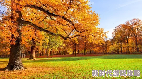 落叶树这首歌让人感受到秋天的萧瑟与离别的忧伤,旋律优美,歌词意境深远。 落叶树这首歌让人感受到秋天的萧瑟与离别的忧伤,旋律优美,歌词意境深远。