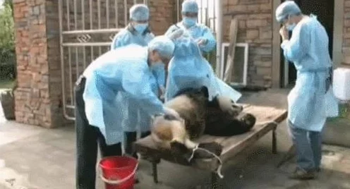 抖音网红黑料爆料网站大全汇集各类网红八卦与隐私爆料平台 抖音网红黑料爆料网站大全汇集各类网红八卦与隐私爆料平台