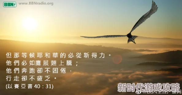 读圣经下载鸽子版蓝色废墟勇敢追梦重拾希望让未来更加美好 读圣经下载鸽子版蓝色废墟勇敢追梦重拾希望让未来更加美好