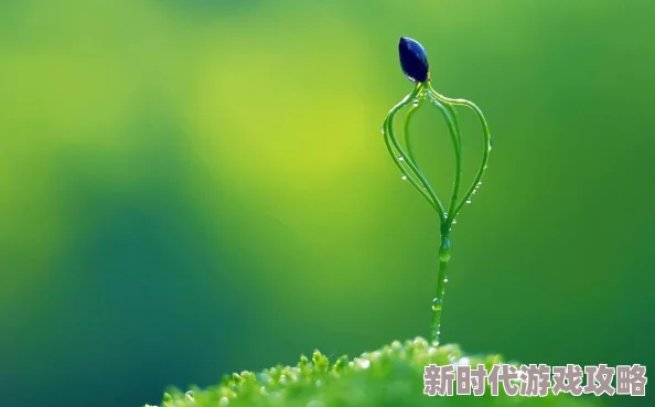 跪下爬过来像条狗一样飞黄腾达勇往直前追逐梦想实现自我价值创造美好未来 跪下爬过来像条狗一样飞黄腾达勇往直前追逐梦想实现自我价值创造美好未来